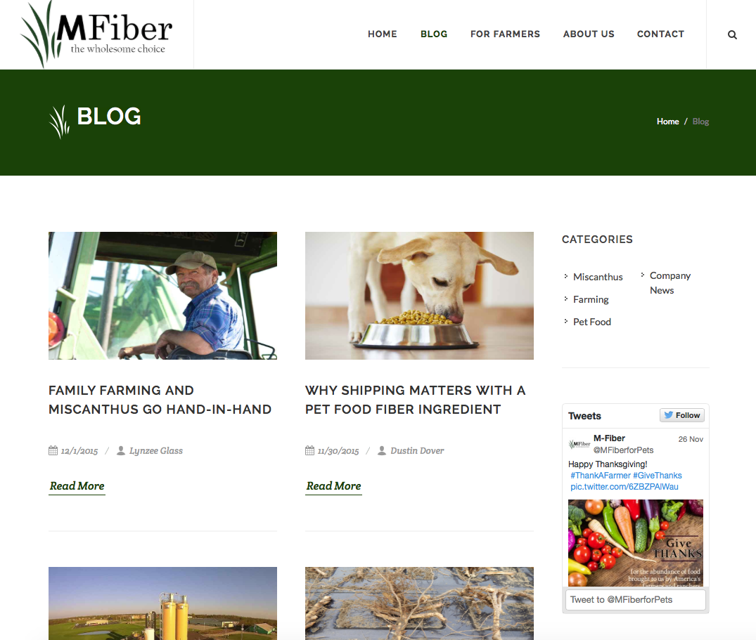 MFiber project screenshot